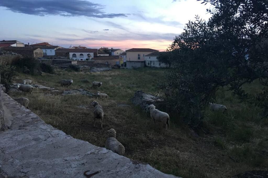 Plasenzuela Casa - Apartamento Rural La Tahona Del Abuelo المظهر الخارجي الصورة
