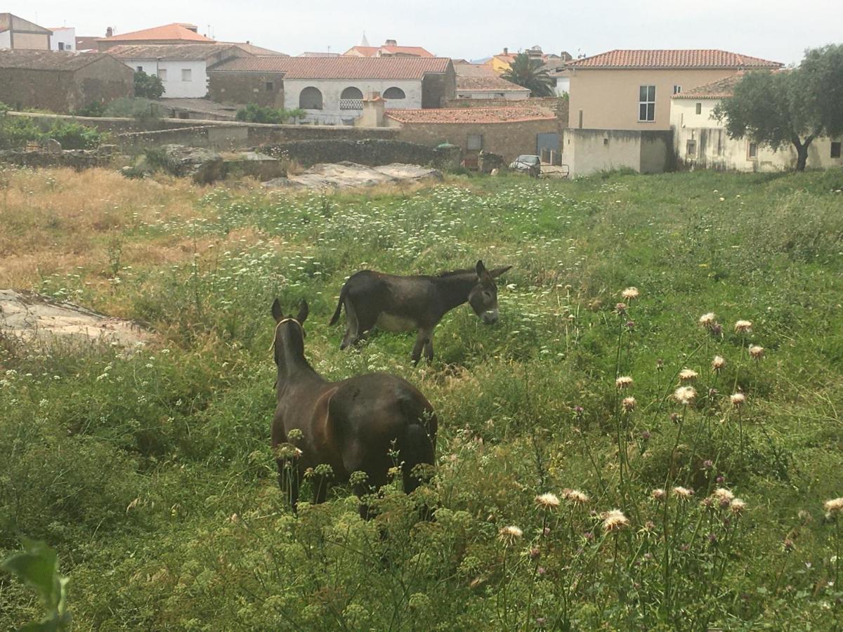 Plasenzuela Casa - Apartamento Rural La Tahona Del Abuelo المظهر الخارجي الصورة