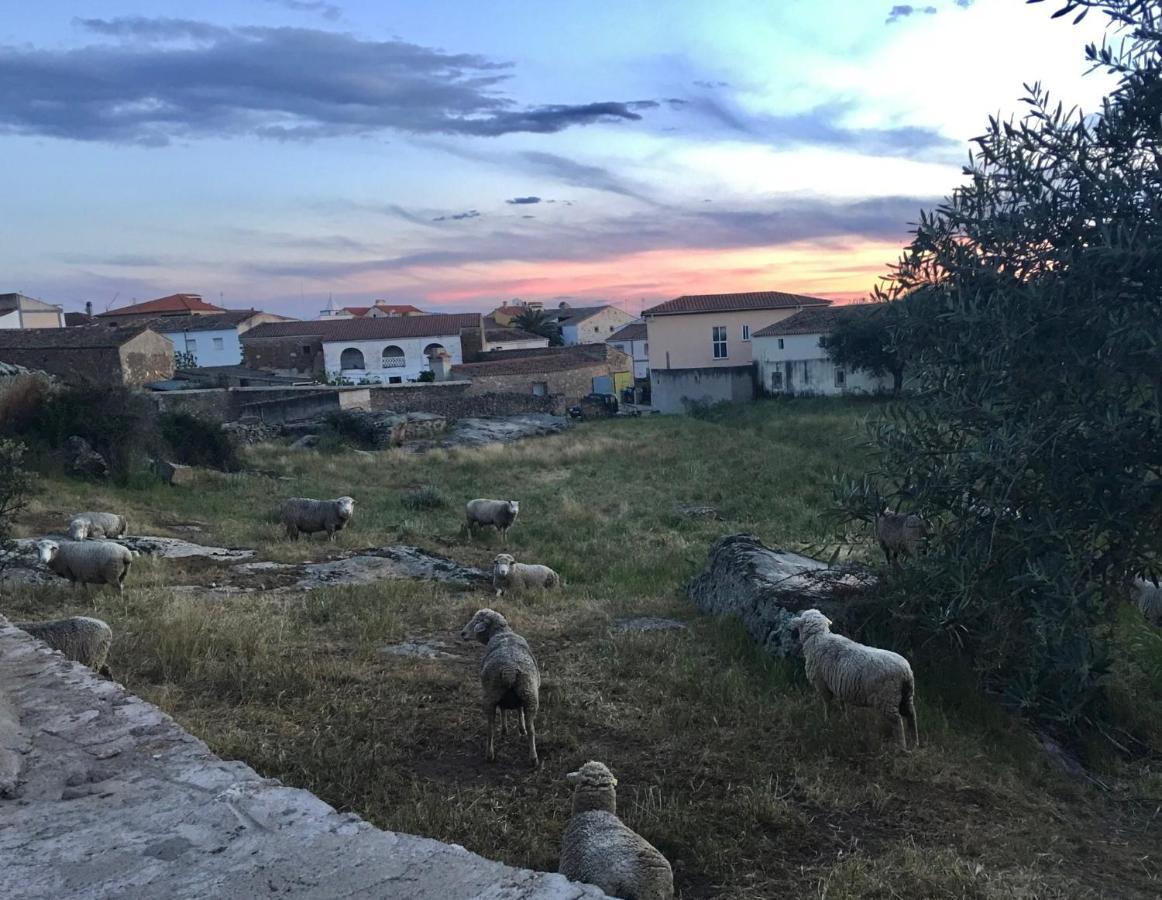 Plasenzuela Casa - Apartamento Rural La Tahona Del Abuelo المظهر الخارجي الصورة
